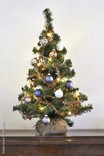 Canvas Print Mini Christmas Tree