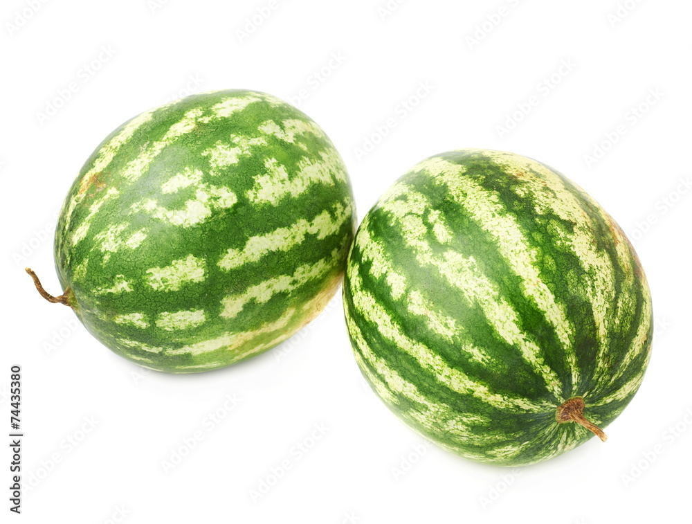 Green watermelon fruit composition isolated Green watermelon fruit composition isolated