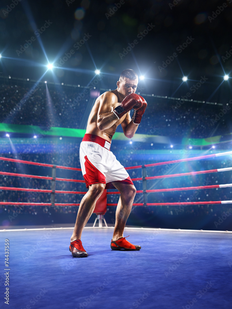 Professionl boxer is standing on the ring