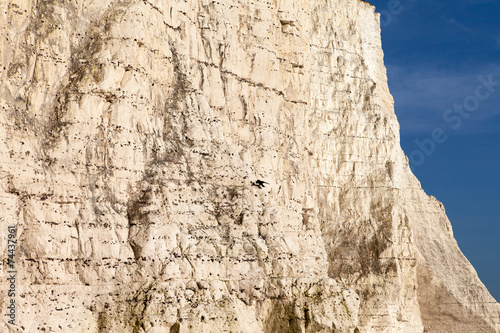 Structure of Seven sisters chalkcliffs on England south coast. photo
