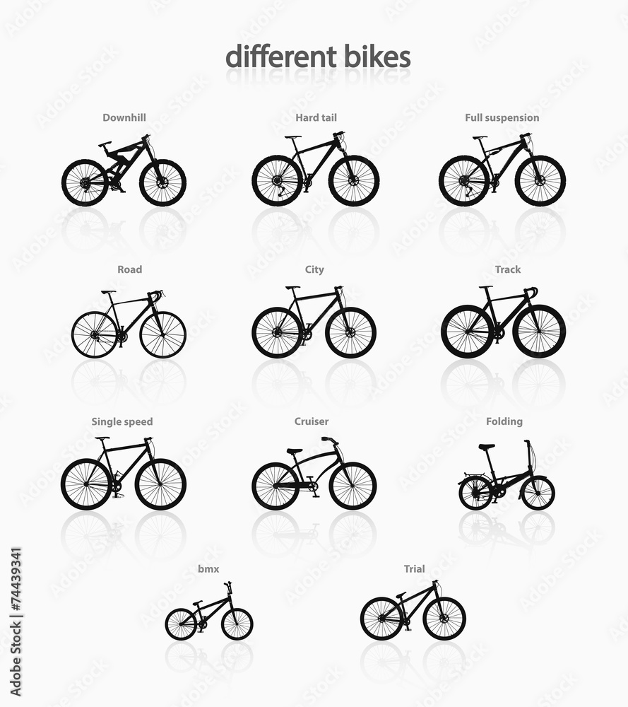 Different bikes. Bicycles are not understandable in this set.