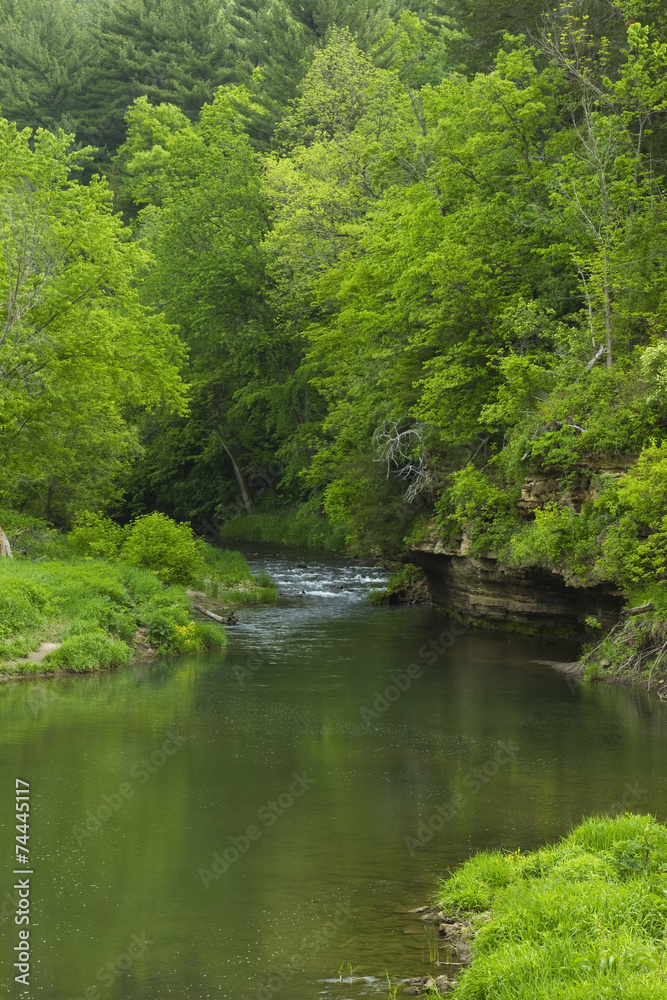 Whitewater River In Spring