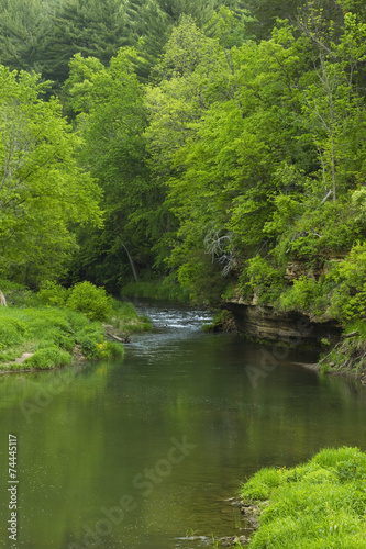 Whitewater River In Spring