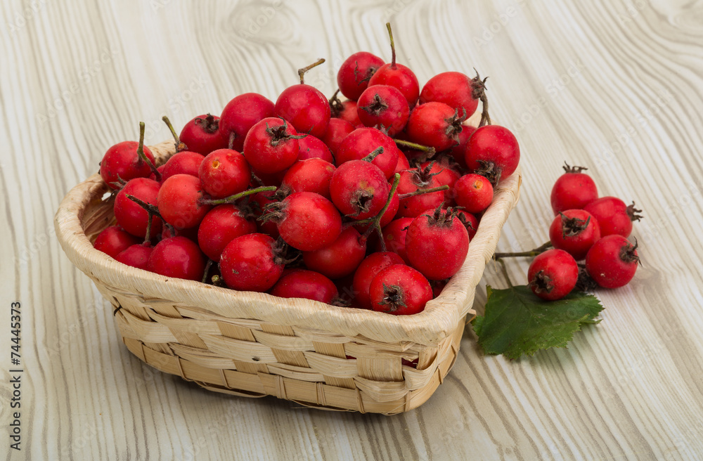 Hawthorn Hawthorn
