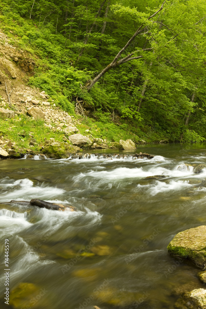 Fototapeta premium Whitewater River In Spring
