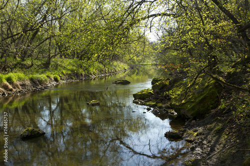 Whitewater River In Spring