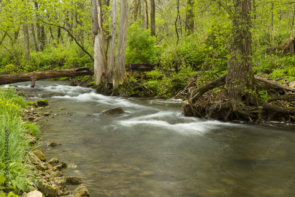 Obraz premium Whitewater River In Spring