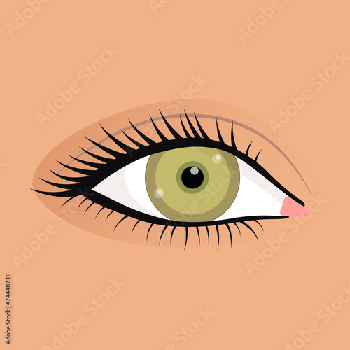 Open female eyes image with beautifully fashion make up