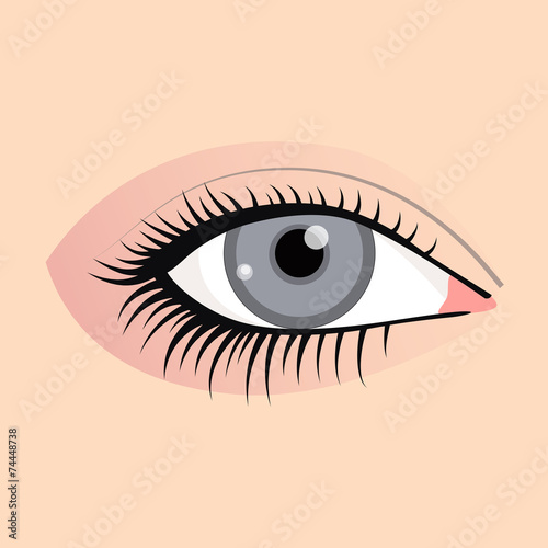 Open female eyes image with beautifully fashion make up
