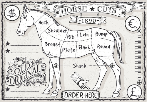 Vintage Page of English Cut of Horse