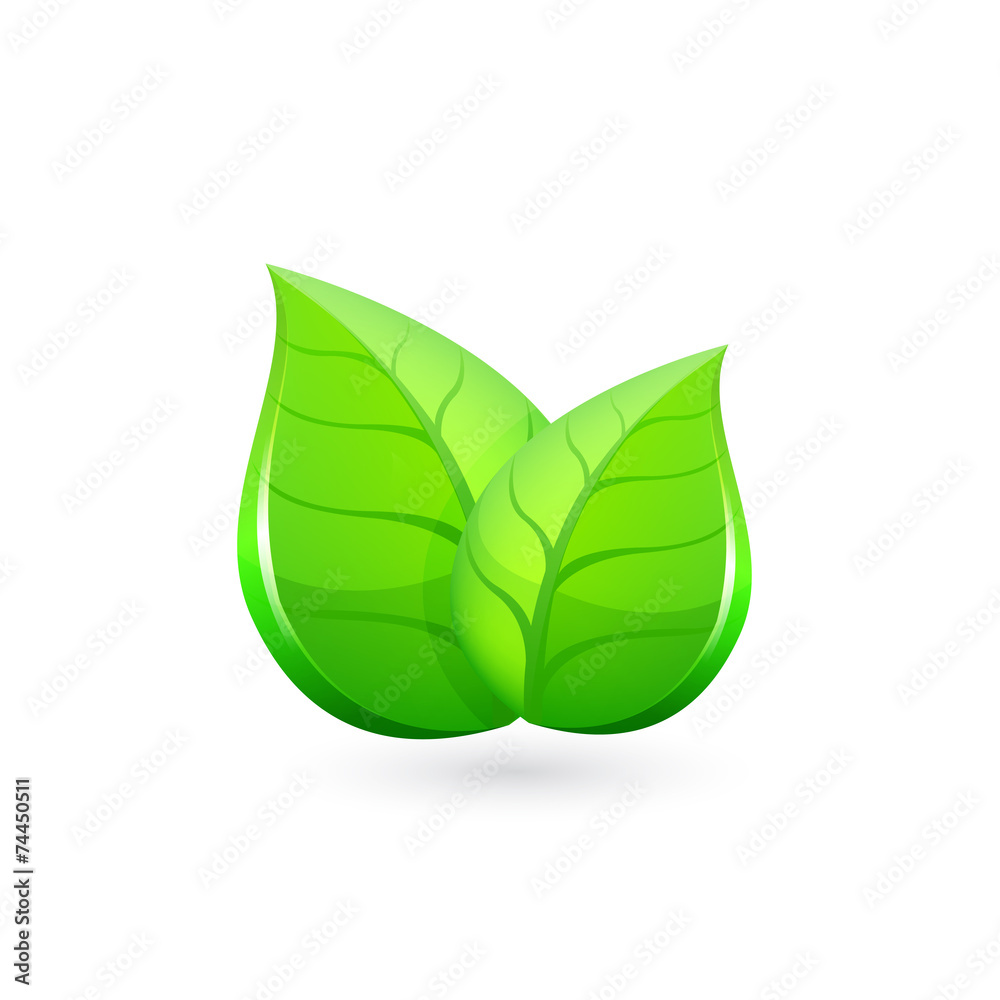 Green leaves. Vector 10 eps Green leaves. Vector 10 eps