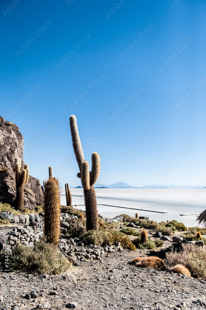 Salar de Uyuni, Isla Incahuasi, bolivia