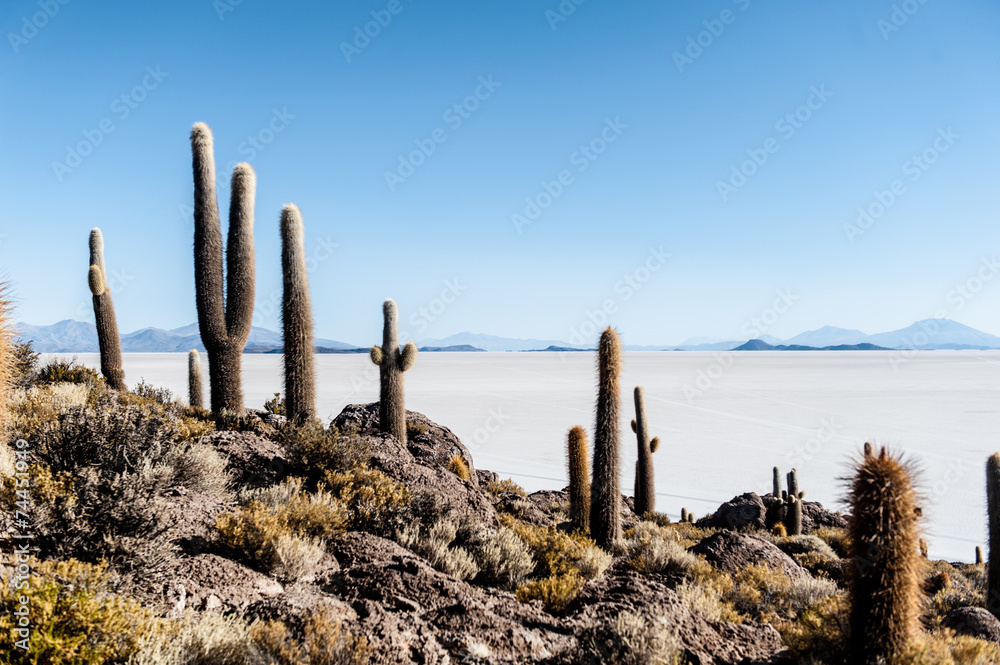 Salar de Uyuni, Isla Incahuasi, bolivia