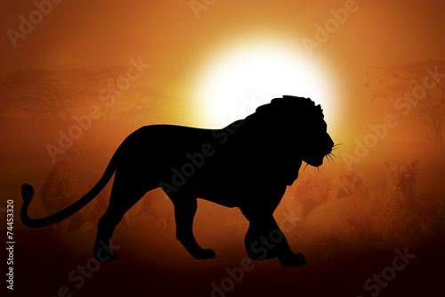 Silhouette of a lion in sunset © byrdyak
