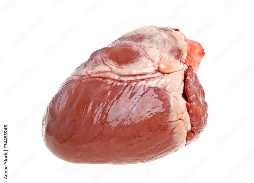 Pig heart