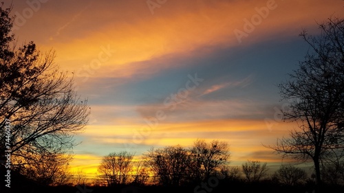 Fototapeta Naklejka Na Ścianę i Meble -  Tree framed sunset