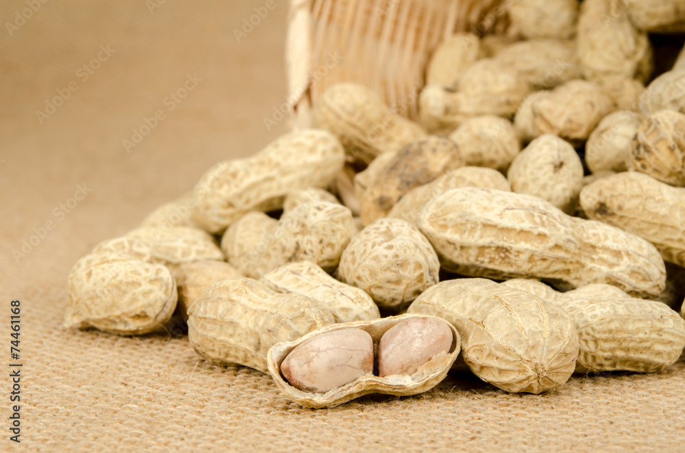 Peanuts Peanuts