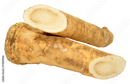 Fotografiet Horseradish Root