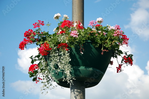 Flower bed with flowers on a lamppost