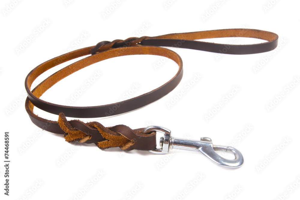 Fototapeta premium Dog leather leash