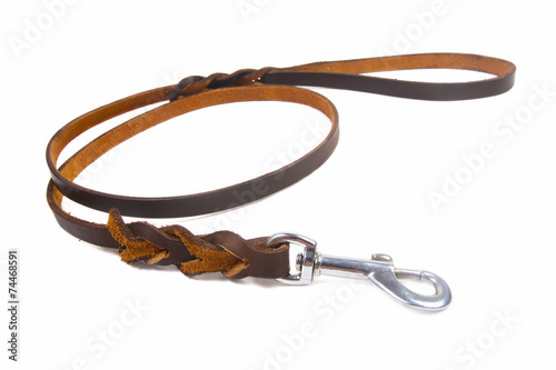 Dog leather leash