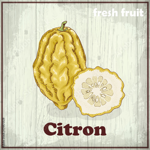 Hand drawing illustration of citron