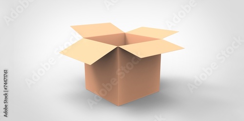 yellow 3D Blank opened cardboard box