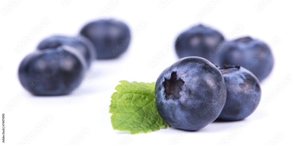 blackberries blackberries