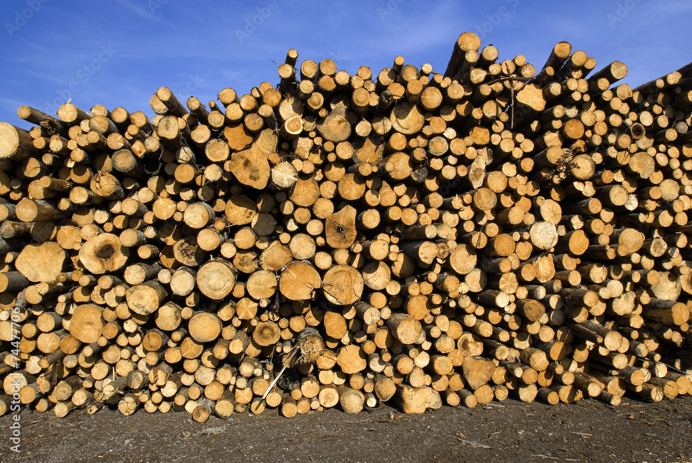 Holzstapel als Vorrat in Schweden