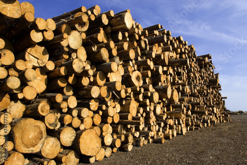 Holzstapel als Vorrat in Schweden