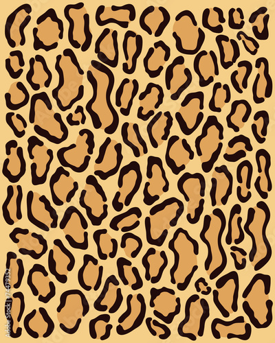 Prints of skin of  leopard, vector illustration
