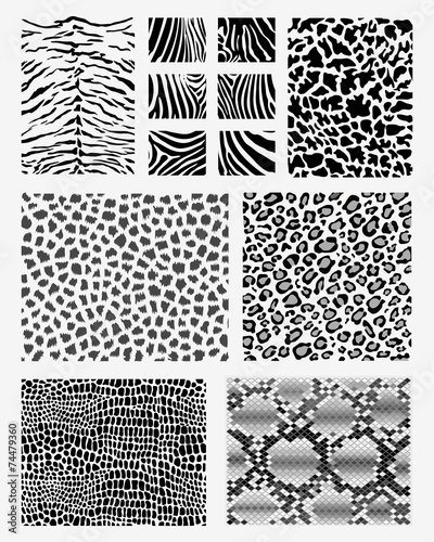 Black and white prints of animal skins, vector Illustration