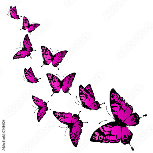 butterflies design