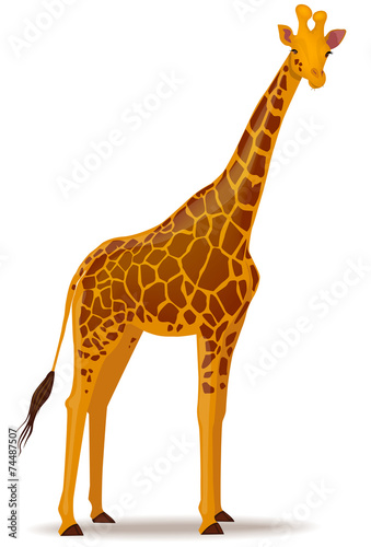 Vector illustration of a giraffe