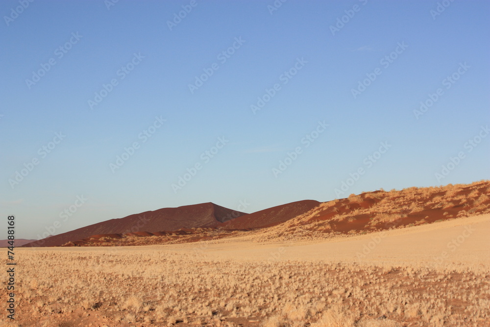 Wüstenvorläufer Sossusvlei - Namibia