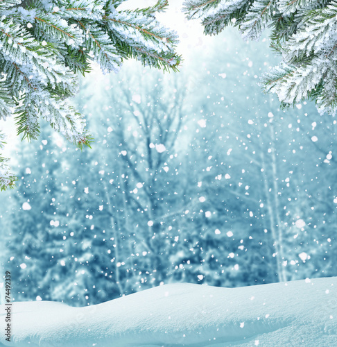 winter  christmas background © Lilya