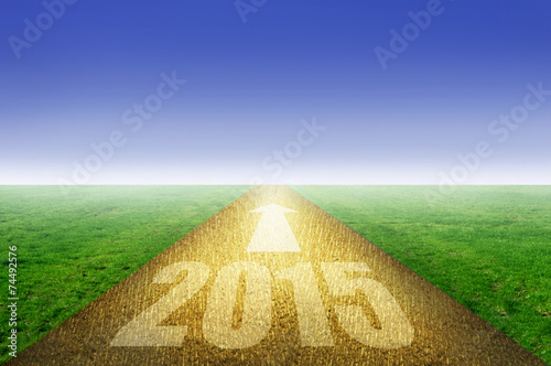 2015 gold road