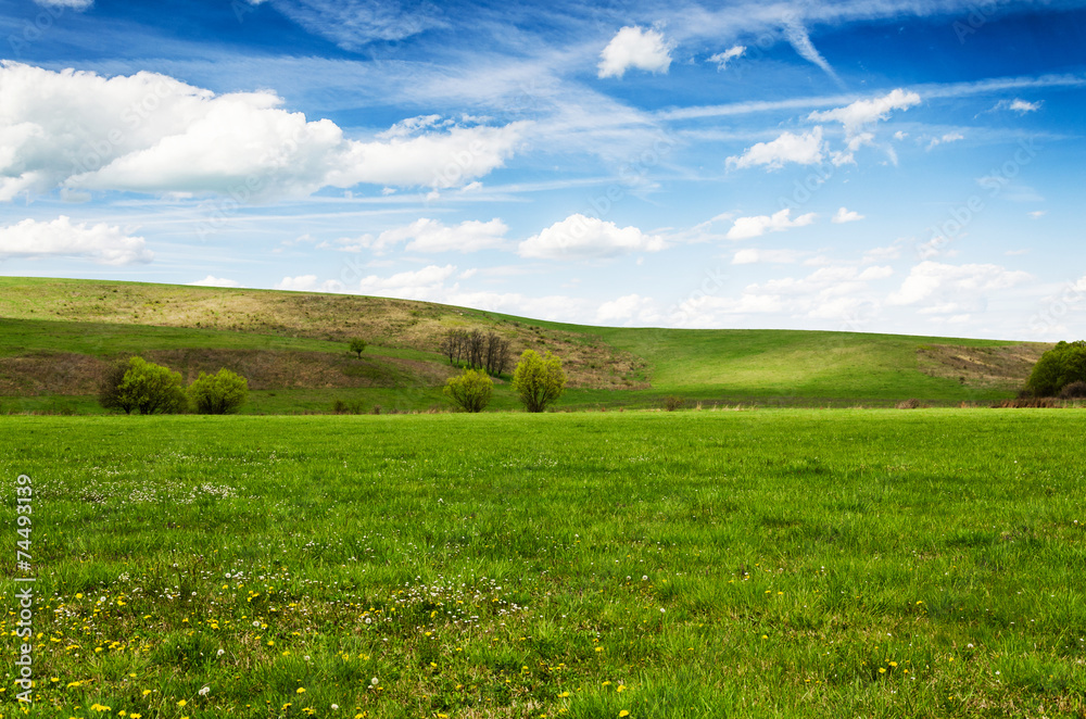 green field and blue sky