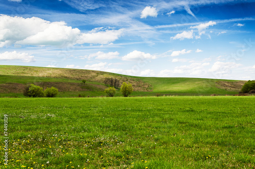 green field and blue sky photo