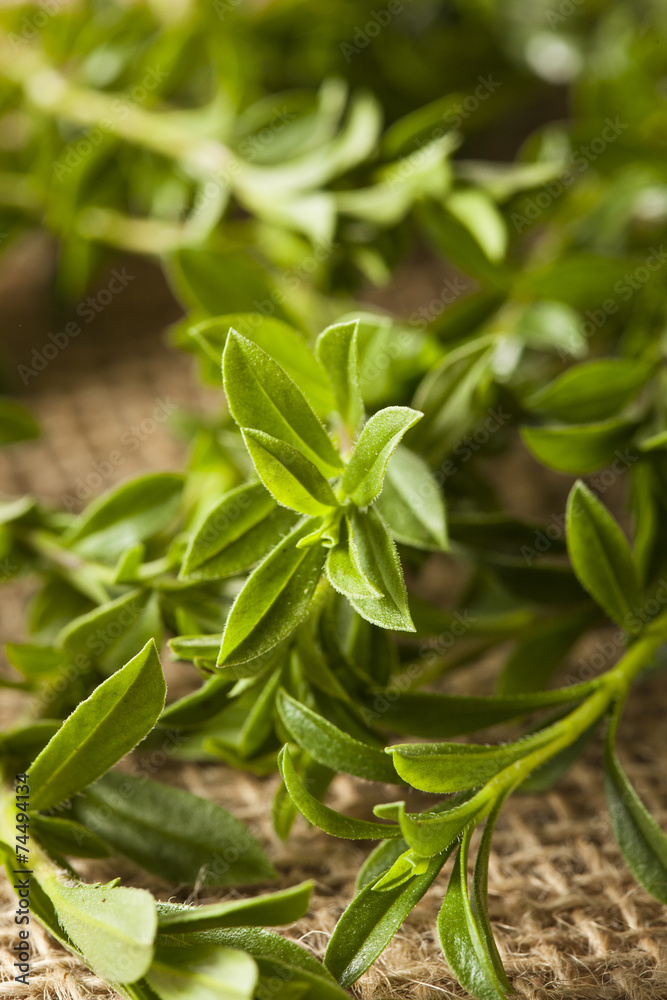 Raw Organic Green Savory Raw Organic Green Savory