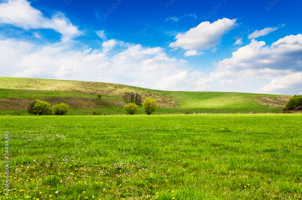 green field and blue sky