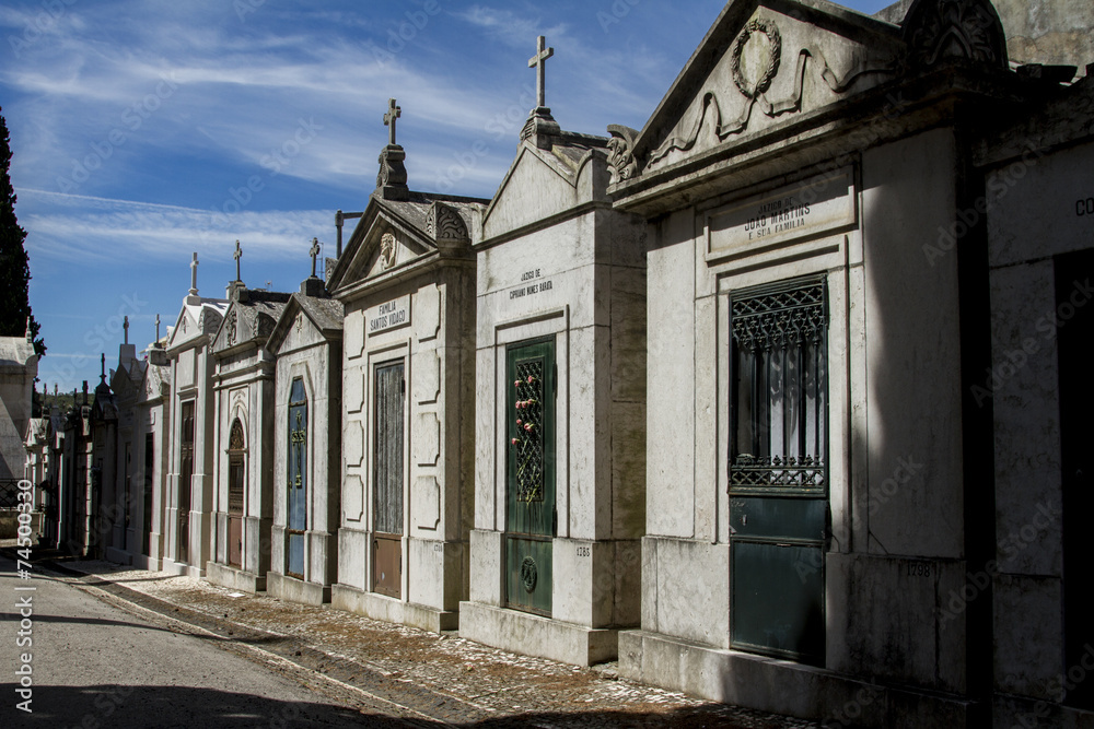 Fototapeta premium portuguese cemetery Prazeres in Lisbon, Portugal.