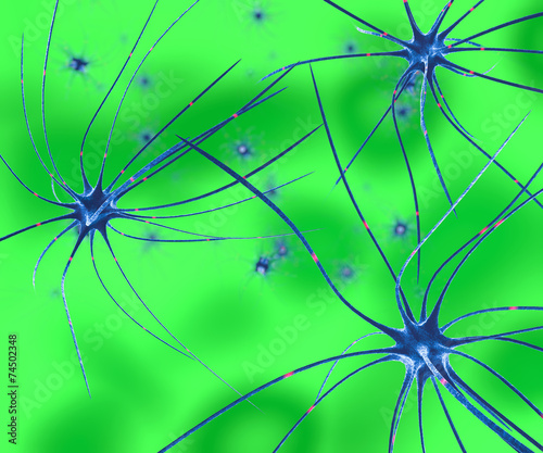 Neuroni sinapsi funzioni cervello 