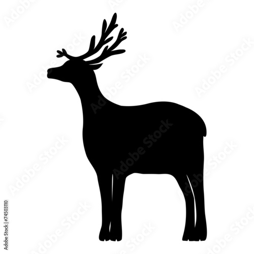 reindeer isolated on white background