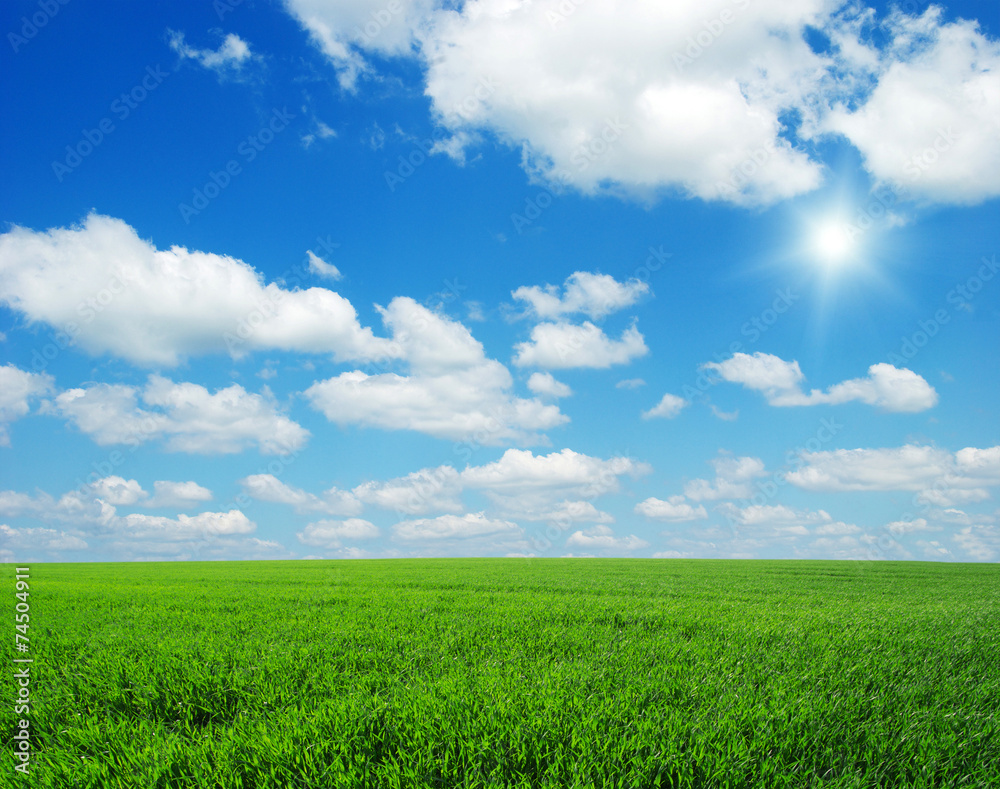 Green field, blue sky and sun