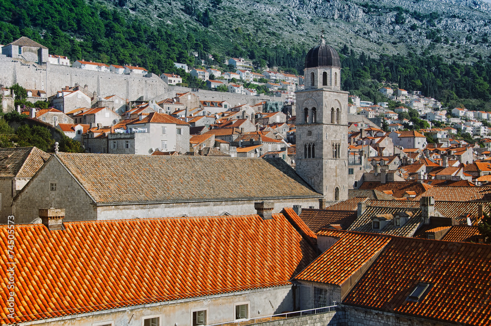 View of Old City Dubrovnik