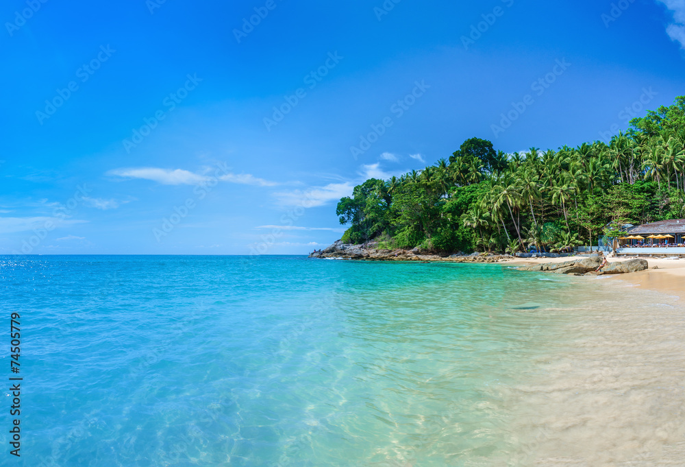 Quiet paradise beach with azure water and palm tree Quiet paradise beach with azure water and palm tree
