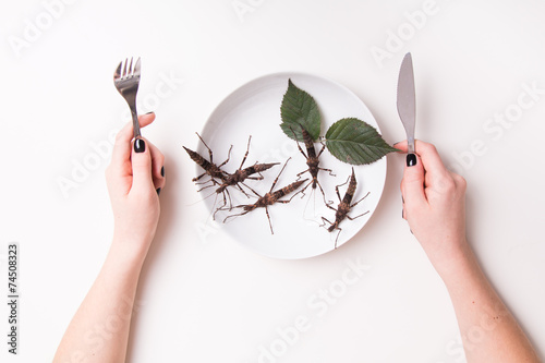 Plate full of insects in insect to eat restaurant © Michal Ludwiczak