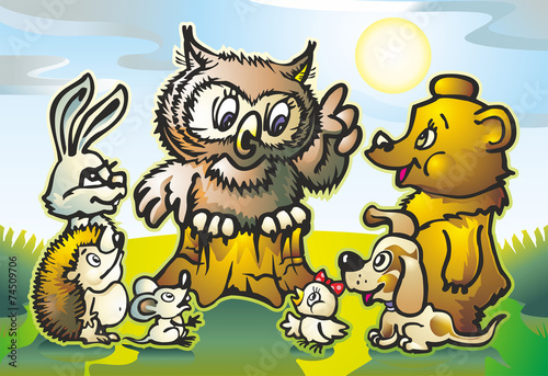 owl