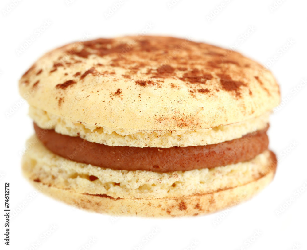 Gentle colorful macaroon isolated on white Gentle colorful macaroon isolated on white